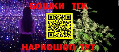 сатива Ставрополь