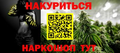 сатива Ставрополь