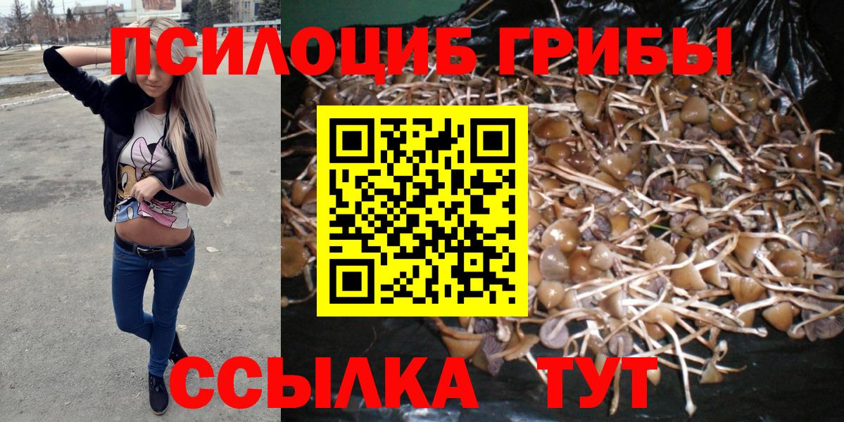 Балабаново  Псилоцибиновые грибы Magic Shrooms  Галлюциногенные грибы Psilocybe  Вход с VPN 