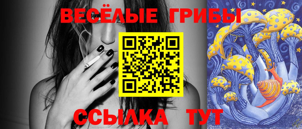 Псилоцибиновые грибы Psilocybe Балабаново